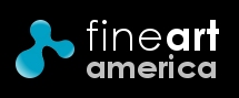 20090527121637-logofineartamericablueshapeblackbackground.jpg